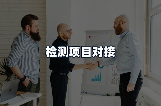 检测项目对接