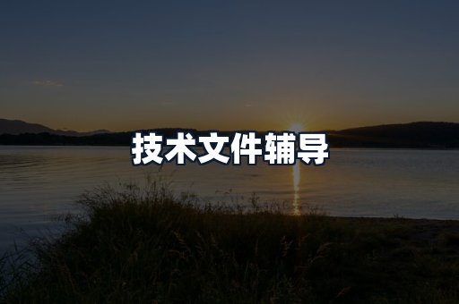 技术文件辅导